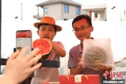 事业预测（乡村行·看振兴）江西安福“小西瓜”撬动乡村共富“大支点”